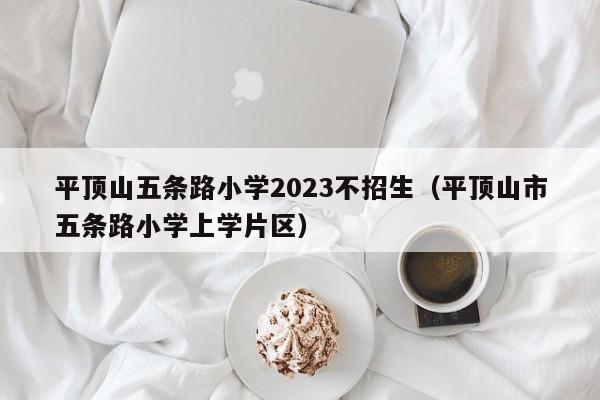 平顶山五条路小学2023不招生（平顶山市五条路小学上学片区）